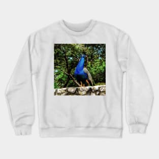 Majestic Crewneck Sweatshirt